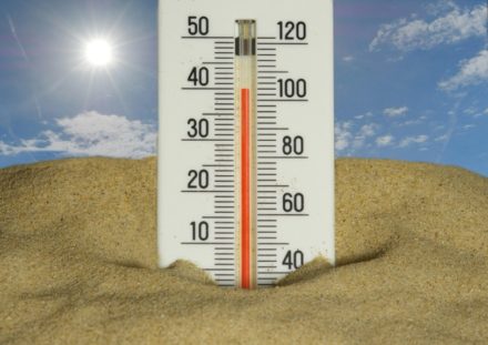 Les grandes villes européennes s’adaptent trop lentement aux risques sanitaires du climat