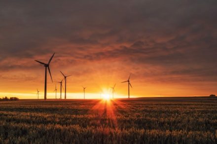 Pour encourager l’action climatique, l’émotion compterait plus que l’information